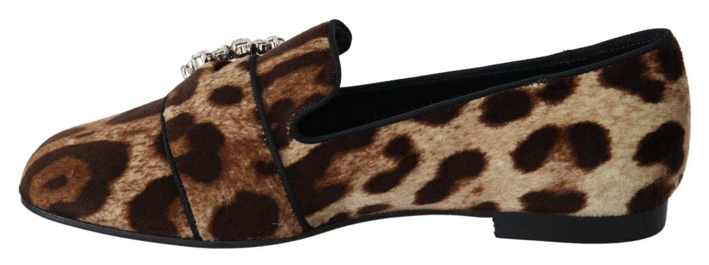 Dolce & Gabbana Leopardenmuster Kristallverzierte Slipper