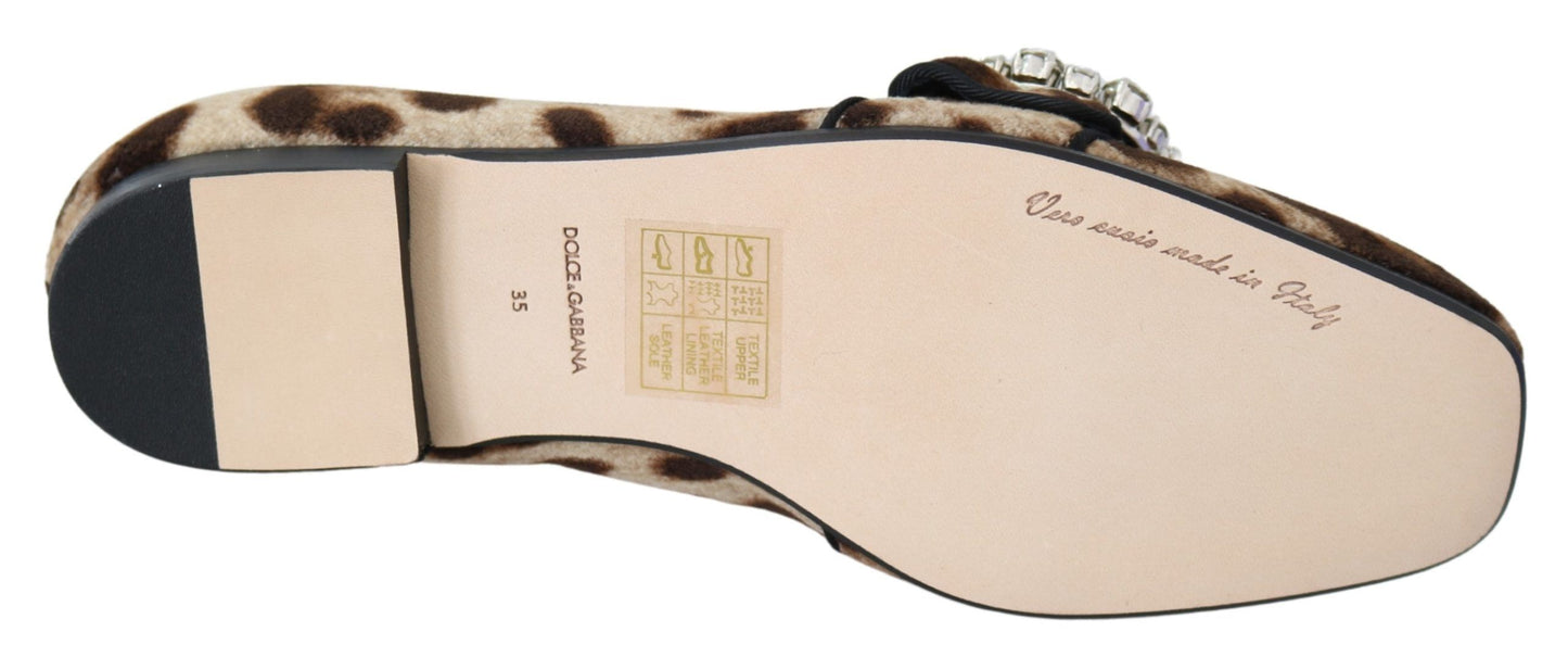 Dolce & Gabbana Leopardenmuster Kristallverzierte Slipper