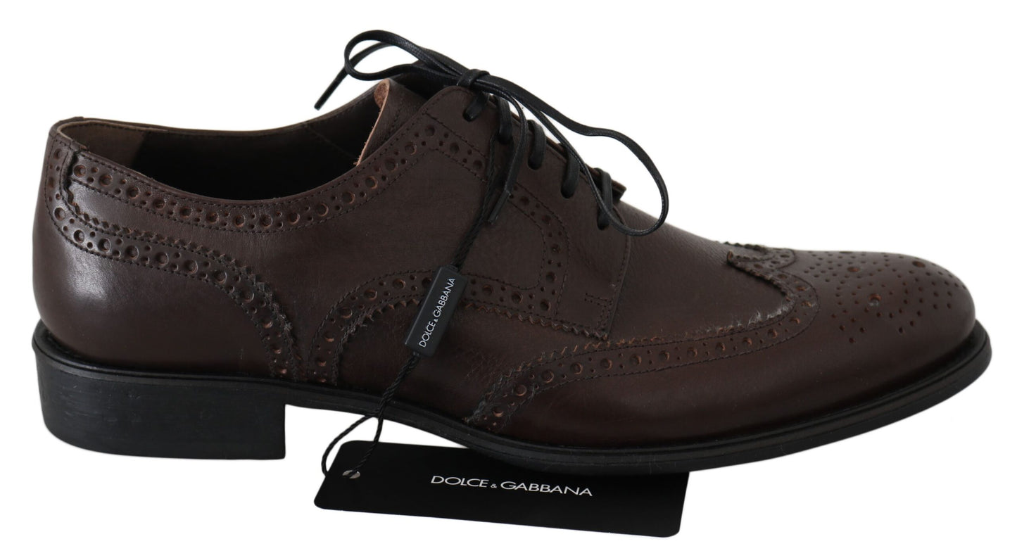 Dolce & Gabbana Elegante Derby-Brogues aus braunem Leder