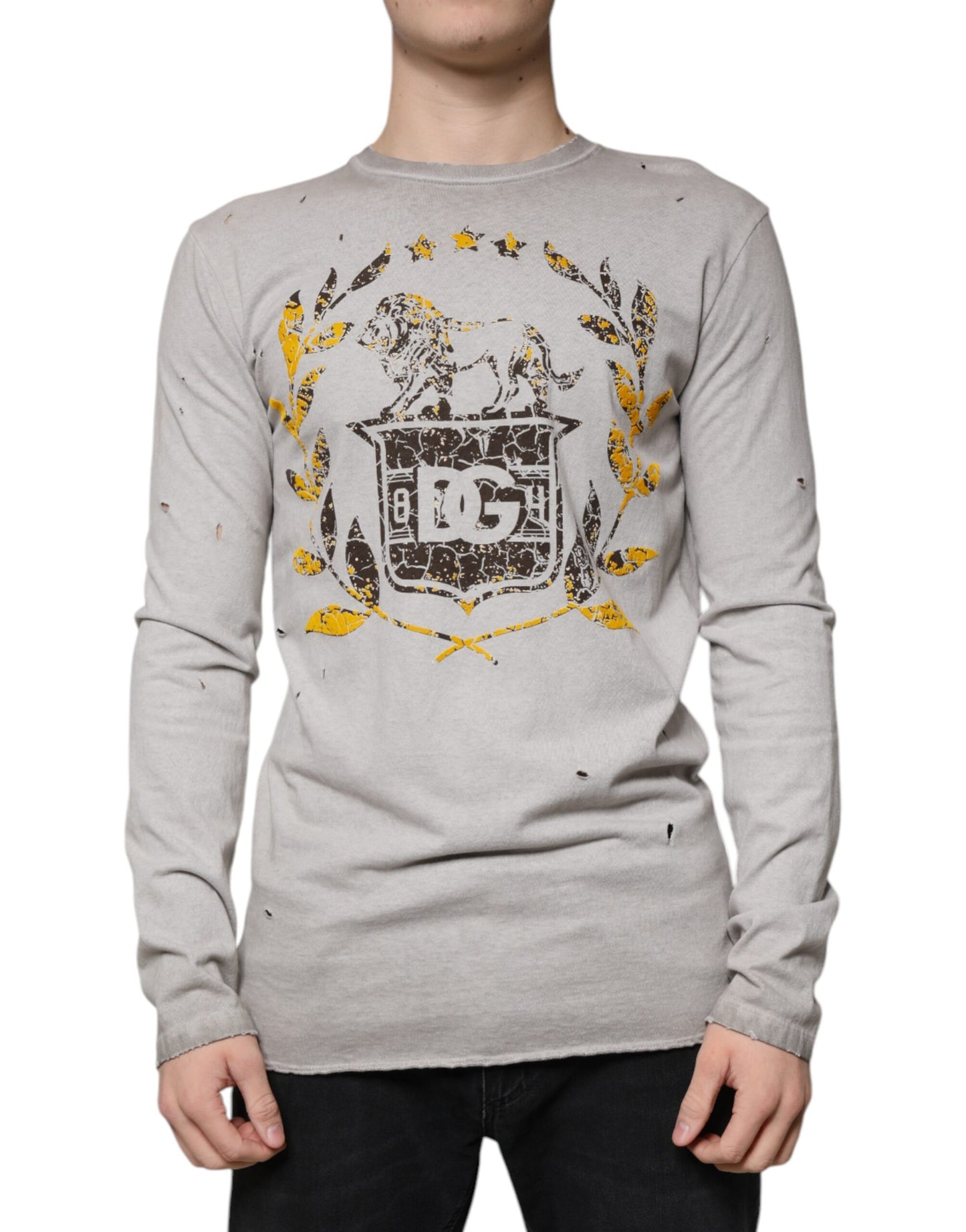 Grauer Pullover mit Rundhalsausschnitt aus bedruckter Baumwolle von Dolce & Gabbana