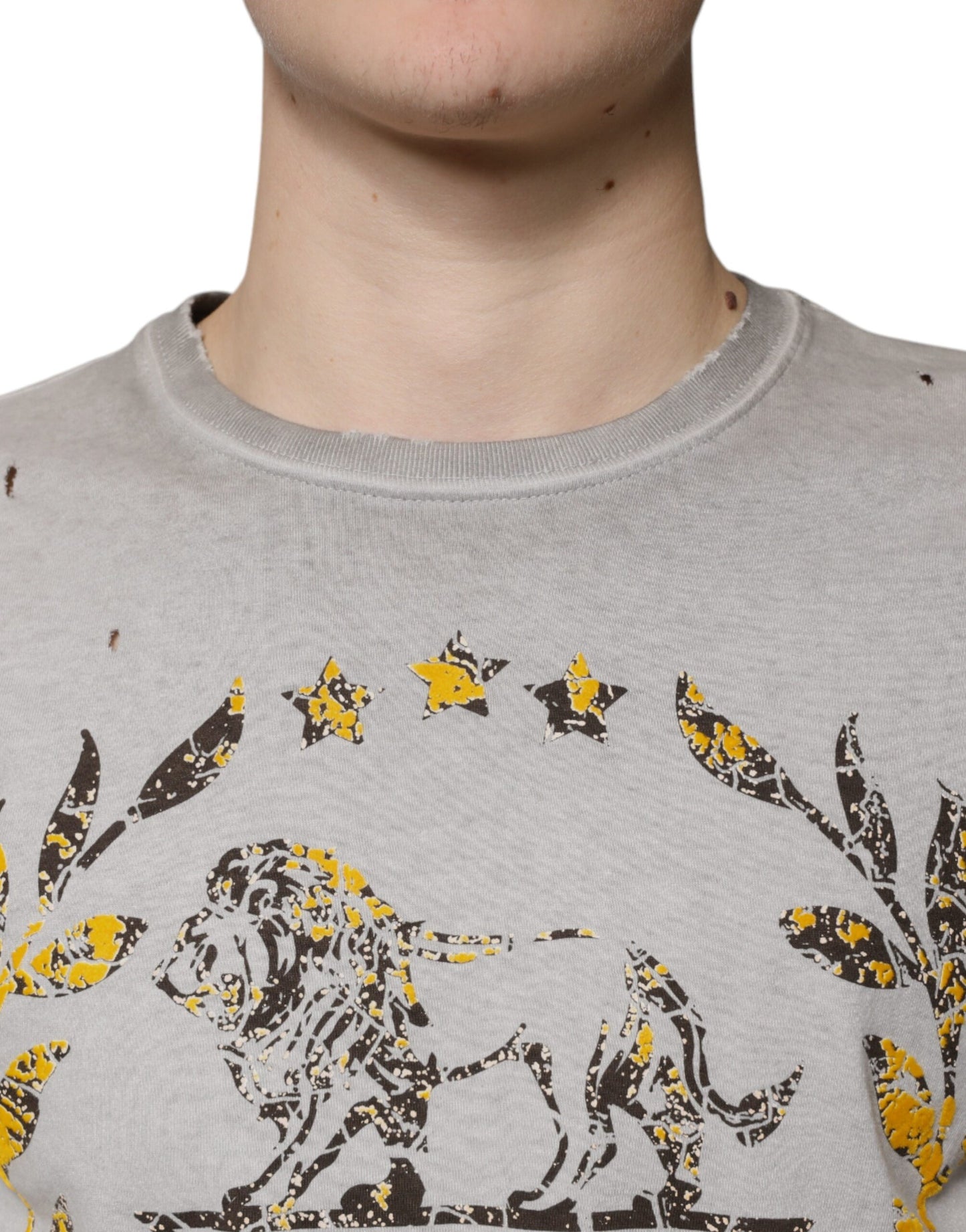 Grauer Pullover mit Rundhalsausschnitt aus bedruckter Baumwolle von Dolce & Gabbana