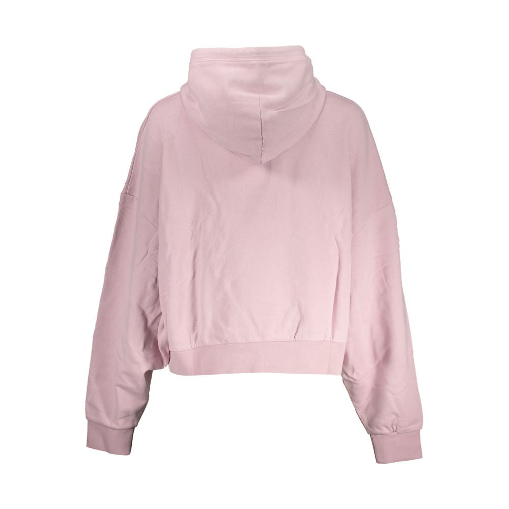 Napapijri Rosa Baumwollpullover