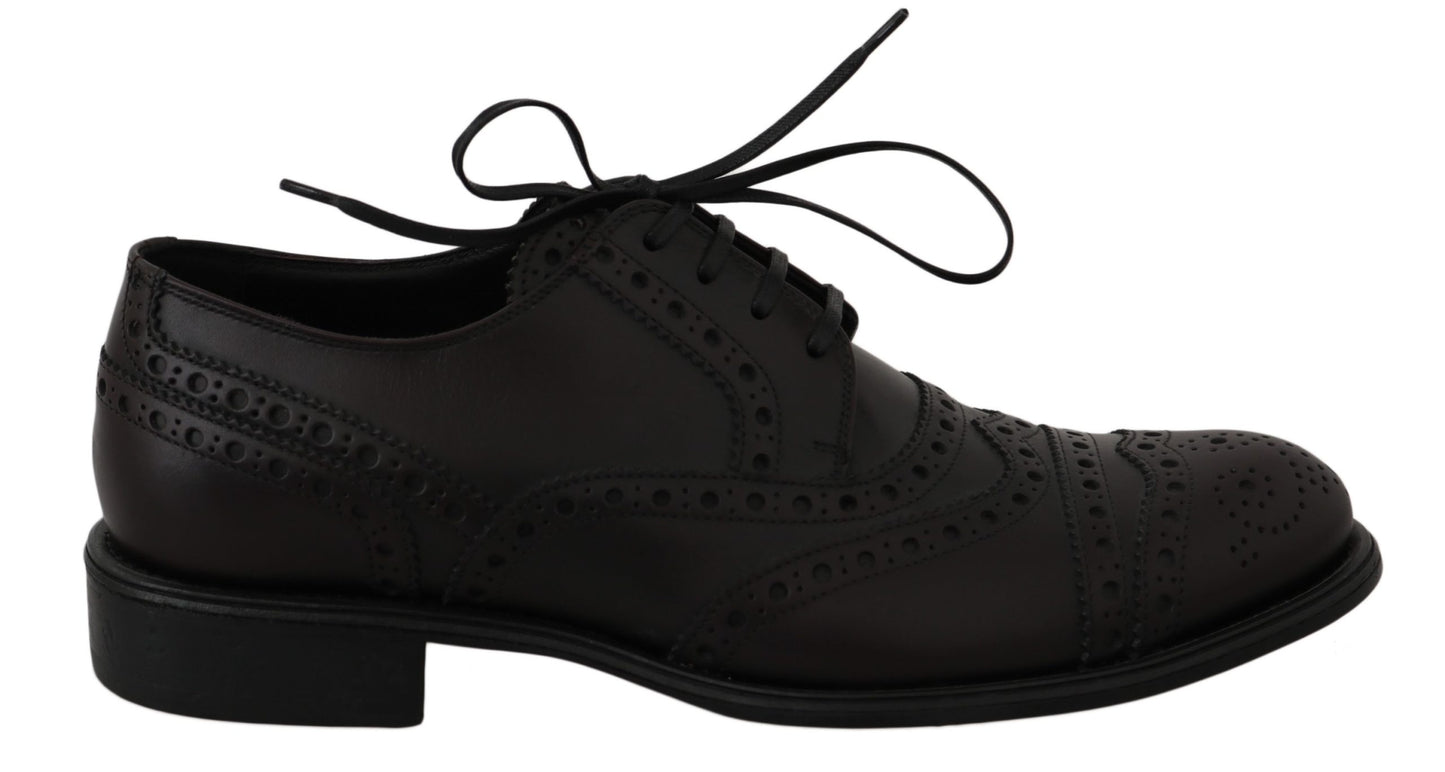 Dolce & Gabbana Elegante Bordeaux Wingtip Derby Dressschuhe